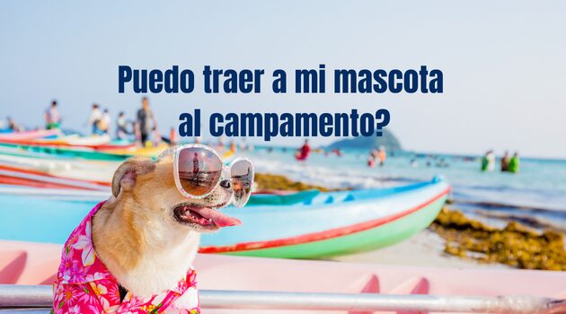 Puedo traer mi mascota al Campamento?